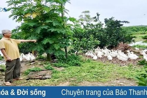 Triệu phú trên vùng đất sình lầy