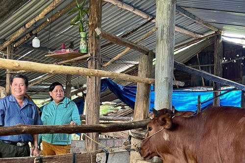 Kbang đồng hành xoa dịu nỗi đau da cam
