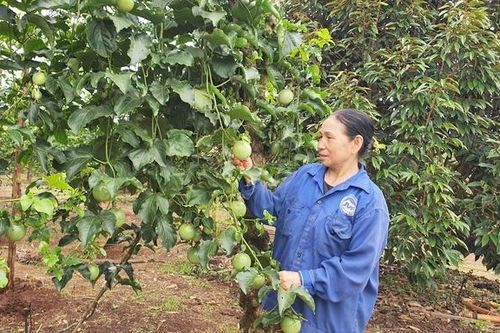 Phương thức đa canh mang lại nhiều lợi ích