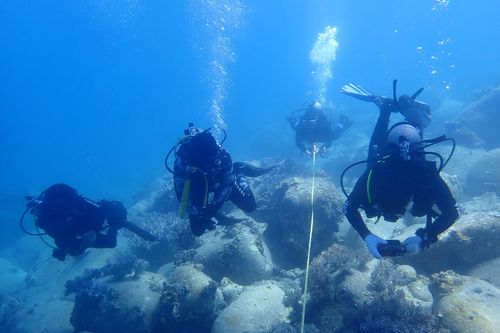 Chung tay phục hồi vịnh Nha Trang - Kỳ 1: Từng bước phục hồi rạn san hô
