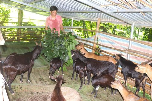 Đổi thay ở xã Nậm Cha