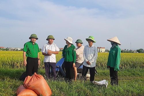 Kịp thời chỉ đạo sản xuất ứng phó với cơn bão số 3
