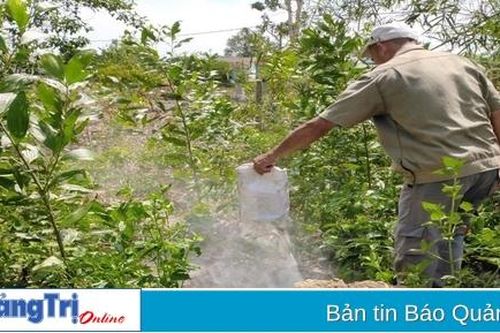 Xuất hiện bệnh lở mồm long móng trên đàn bò ở huyện Cam Lộ