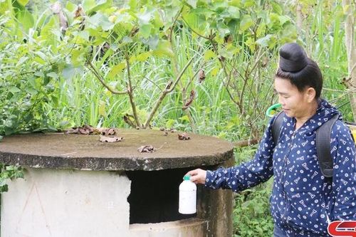 Thu gom, xử lý bao gói thuốc bảo vệ thực vật sau sử dụng
