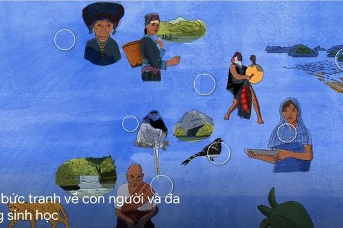 Khám phá thiên nhiên và văn hóa đất Việt qua Vibrant Vietnam