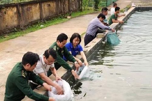 Điểm sáng trong thi đua tăng gia sản xuất