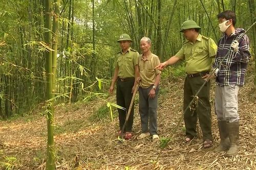 Thanh Hóa: Triển khai hàng loạt chính sách hỗ trợ, phát triển sản xuất dành cho đồng bào dân tộc thiểu số miền núi