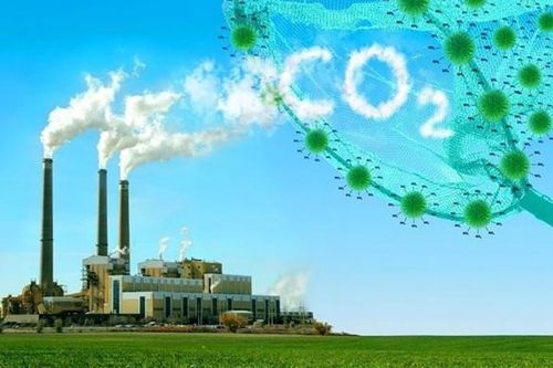 Tạo điều kiện thuận lợi để doanh nghiệp tham gia vào thị trường carbon