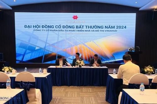 Lãnh đạo Vinahud nêu lý do rút khỏi dự án Làng Hoa Tiền Phong