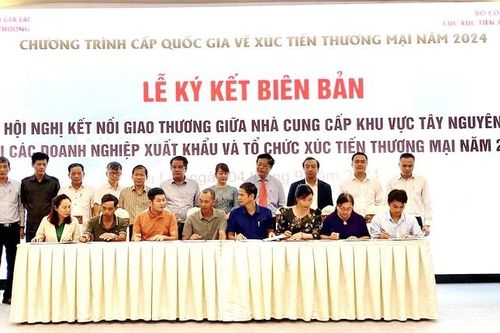 Gia Lai: Gần 100 doanh nghiệp, hợp tác xã kết nối giao thương
