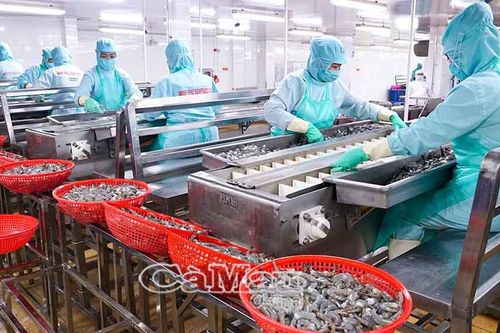 Đảm bảo quyền lợi và các chế độ bảo hiểm cho người lao động