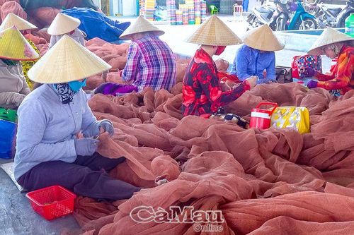 Vì tương lai nghề cá