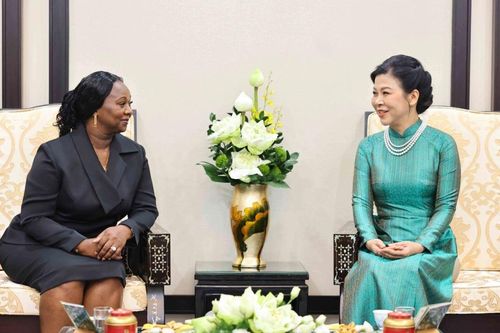 Phu nhân Tổng Bí thư tiếp Phu nhân Tổng thống Guinea-Bissau