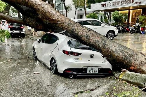 Bão số 3 chưa đổ bộ, Hà Nội đã thiệt hại nặng nề do mưa dông
