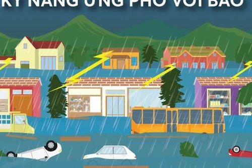 Infographics: Kỹ năng cần biết để ứng phó với mưa bão