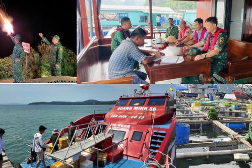 Hải Phòng, Quảng Ninh tích cực chủ động ứng phó với siêu bão số 3