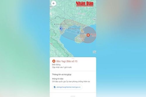 Theo dõi siêu bão Yagi trên ứng dụng Google Maps
