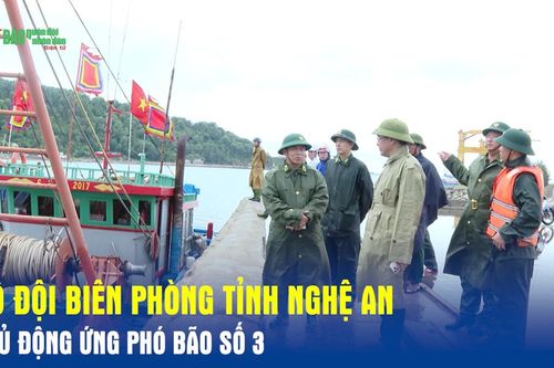 Bộ đội Biên phòng tỉnh Nghệ An chủ động ứng phó bão số 3