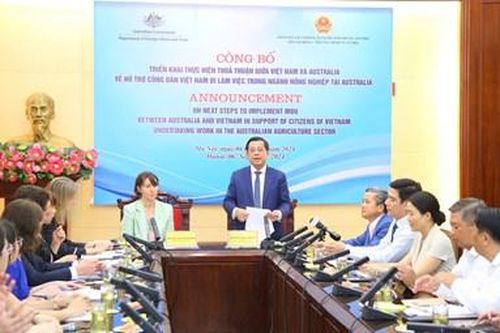 Cho phép tối đa 1.000 lao động Việt Nam làm việc trong lĩnh vực nông nghiệp tại Australia cùng một thời điểm