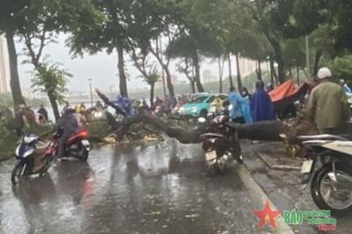 Hà Nội: Hoàn lưu bão số 3 gây đổ cây, khiến 1 người tử vong