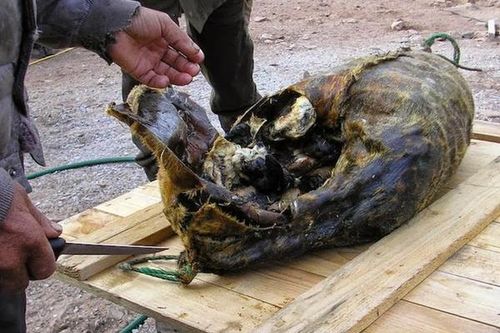 Đặc sản có mùi kinh dị bậc nhất thế giới của người Greenland
