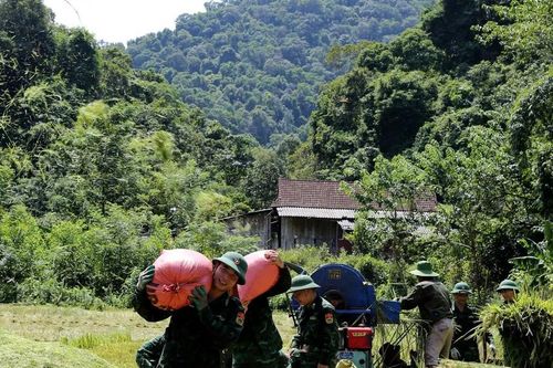 Nông dân Hà Tĩnh hối hả xuống đồng gặt lúa 'chạy' siêu bão Yagi