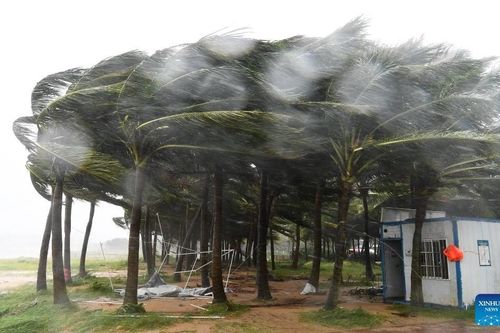 Cận cảnh gió giật và mưa lớn khi siêu bão Yagi đổ bộ Hải Nam, Trung Quốc