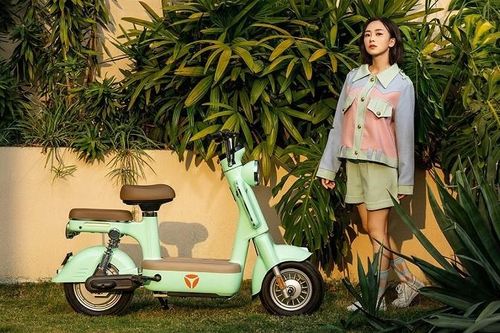 4 mẫu xe đạp điện giá dưới 15 triệu phù hợp với học sinh