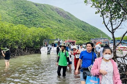 Du lịch Việt Nam hướng tới Net Zero: Chuyển đổi xanh kiến tạo tương lai bền vững