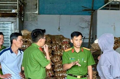 Điều tra vụ 'phù phép' khoai tây Trung Quốc thành nông sản Đà Lạt