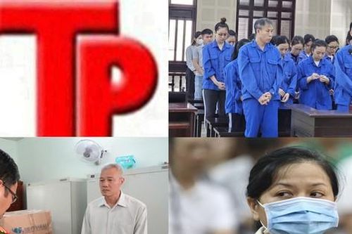 Bản tin Hình sự: Bắt hai đối tượng 'nổ' có nhiều quan hệ để lừa tiền 'chạy án'