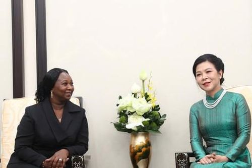 Phu nhân Tổng Bí thư, Chủ tịch nước Tô Lâm mời Phu nhân Tổng thống Guinea-Bissau thưởng thức trà sen