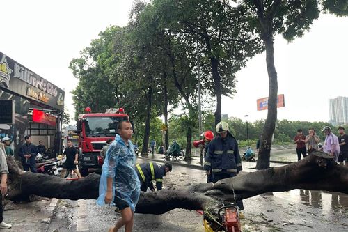 Ảnh hưởng đầu tiên do siêu bão Yagi gây ra tại Hà Nội làm 2 người thương vong