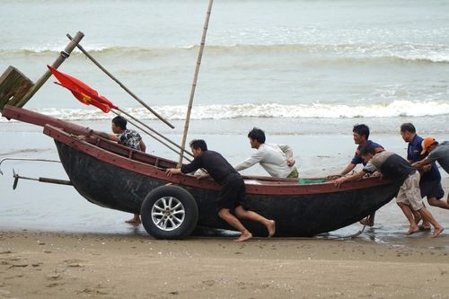 Ngư dân Thanh Hóa kết thúc đánh cá trước giờ cấm biển, hối hả trú tàu thuyền