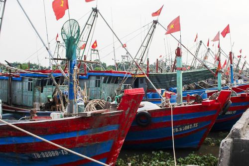 Thái Bình gấp rút ứng phó với bão số 3