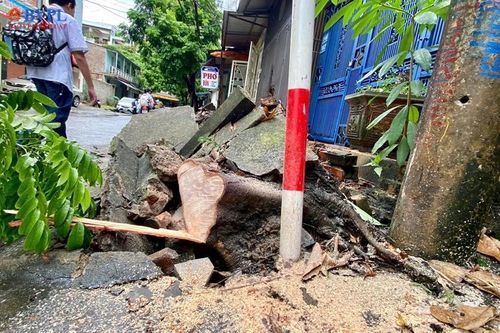 Mới 'chớm' bão, nhiều cây xanh tại thành phố Thanh Hóa đã bật gốc