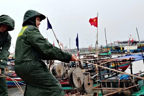 Bộ đội Biên phòng Nghệ An kiểm tra công tác ứng phó bão số 3 tại các địa phương ven biển