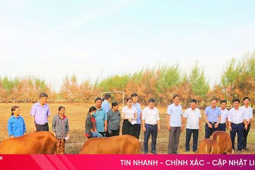 Trao sinh kế, khởi công nhà đại đoàn kết ở Thạch Hà