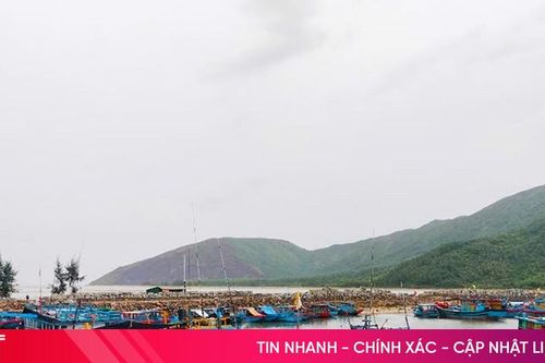 3.056 tàu thuyền của Hà Tĩnh vào nơi tránh trú, di chuyển tới vùng an toàn