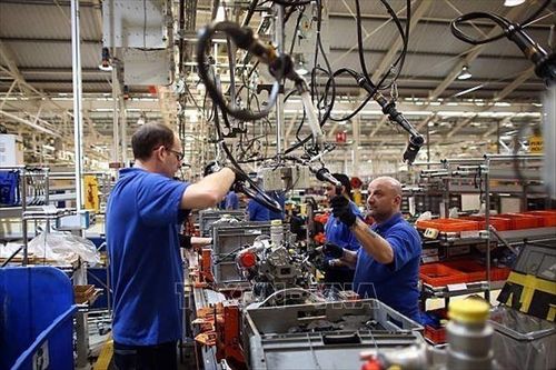 ILO: Thu nhập của lao động toàn cầu tiếp tục giảm