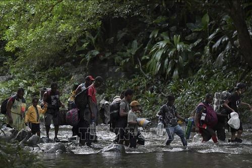 Panama dự báo hàng trăm người vượt rừng Darien đến Mỹ trong năm 2024