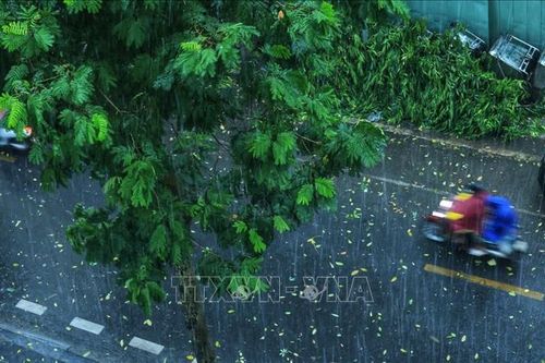 Ảnh hưởng của cơn bão số 3: Hà Nội bắt đầu mưa to, gió mạnh, kèm sấm chớp