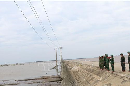 Ứng phó bão số 3: Ninh Bình cấp bách triển khai nhiều phương án phòng, chống bão