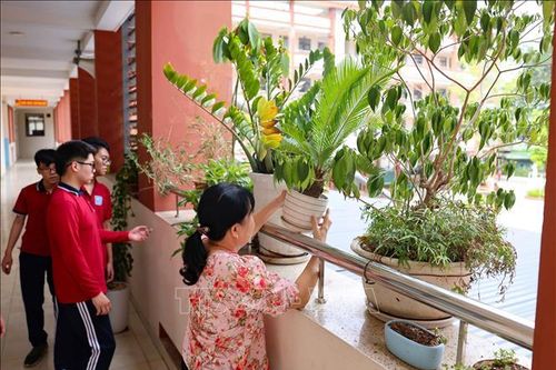 Học sinh toàn thành phố Hà Nội nghỉ học từ ngày 7/9 cho đến khi bão tan