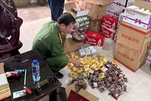 Bắt giam các đối tượng lừa đảo; tiêu hủy hàng hóa không rõ nguồn gốc