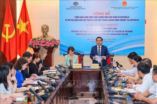 Công bố thông tin triển khai tuyển dụng lao động Việt Nam đi làm việc tại Australia
