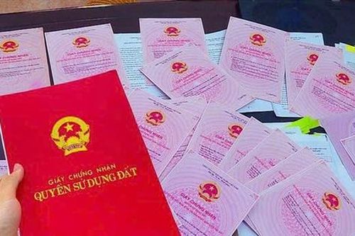 Thái Bình: Cảnh giác với tội phạm sử dụng giấy tờ giả về đất đai để lừa đảo