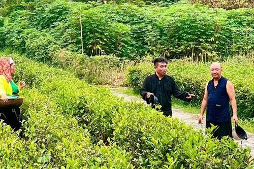 Đạo diễn Nguyễn Love làm phim về bình đẳng giới