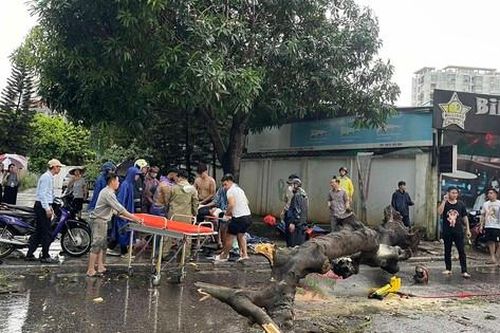 Hà Nội: Giông lốc gây đổ cây khiến 1 phụ nữ tử vong