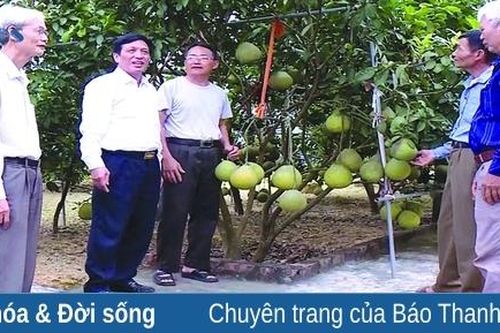 Hậu Lộc: Đẩy mạnh công tác tuyên truyền xây dựng nông thôn mới